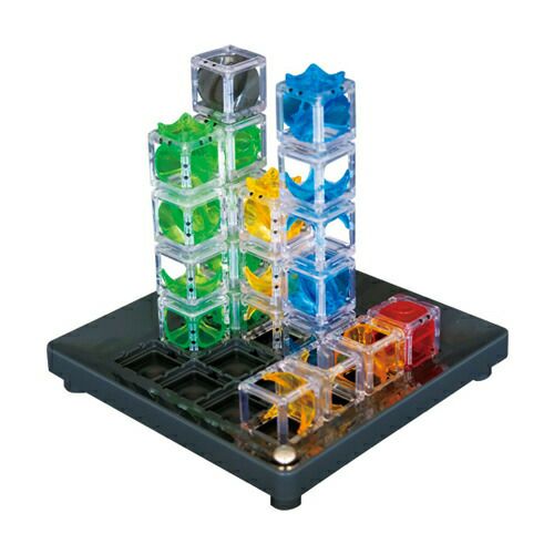 ブロック 立体パズル ThinkFun Gravity Maze | 英語伝 EIGODEN【公式